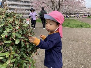 みんなではじめてお散歩♪