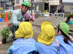 植えてみよう！サルビアと日日草