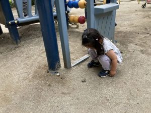 公園に行ってきたよ！
