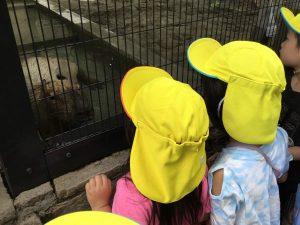 動物さんかわいいね