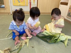 トウモロコシって不思議だね！
