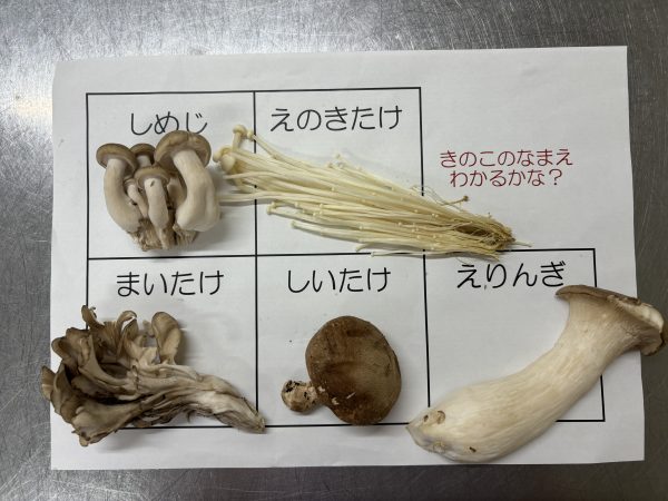 【給食】食育・きのこ