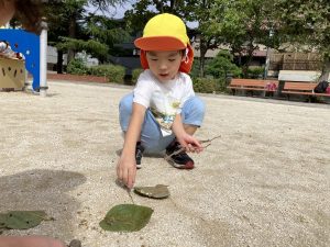 いろんな葉っぱをみつけたよ