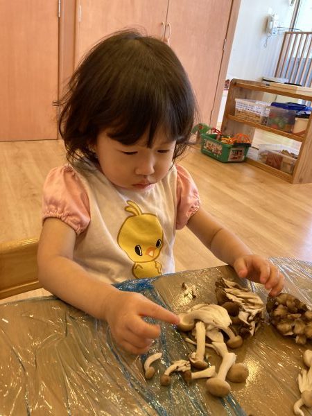 【２・３歳児】きのこ割き