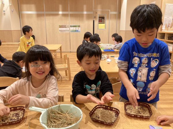お米の脱穀をしました！