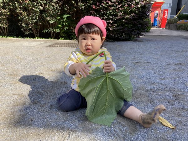 【あお組】大きな葉っぱ