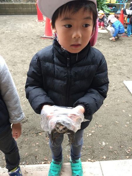 春だねぇ～
