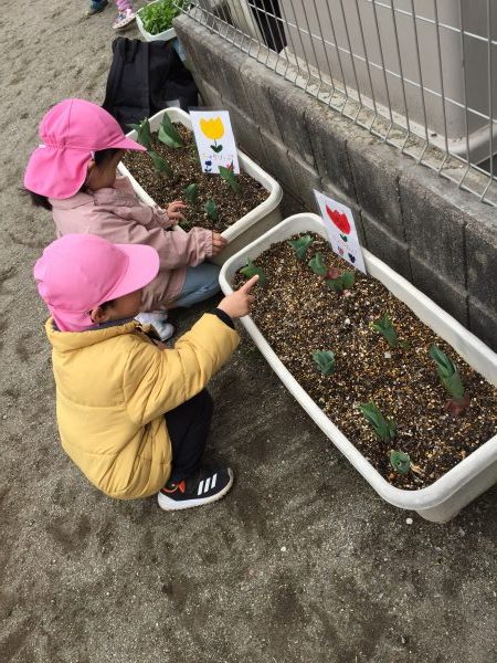 何色がいい？