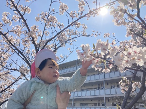 春の公園！