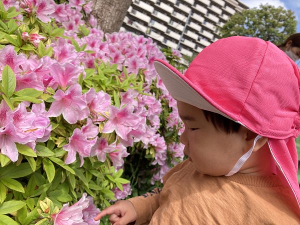 🎵４月２４日(木)今日の１枚🎵