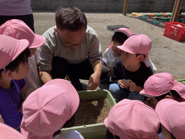 【幼児】夏野菜を植えたよ