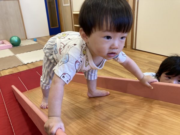 🎵６月２７日(金)今日の１枚🎵