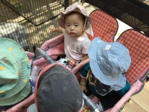 動物の動きに興味津々です♪