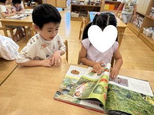 夏の虫調べ(^▽^)/