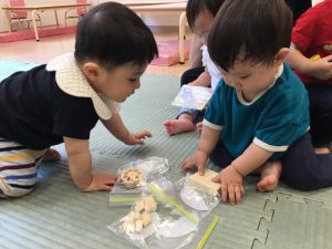 いろんなお野菜に触れてみたよ！