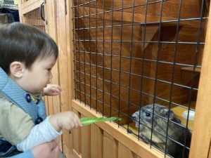 親子どうぶつ触れ合い交流
