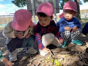 秋の公園には、楽しいことがいっぱい！