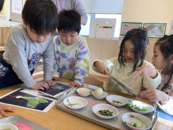 七草粥ってどうして食べるの？