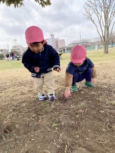春の訪れ🌸