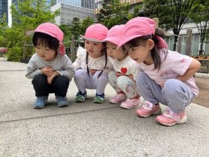 みんなで観察