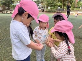 虫見つけたよ