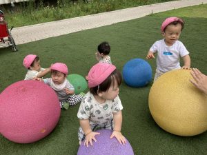 🎵８月５日(水)今日の１枚🎵