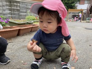 【そら組】「これはなんだ！？」