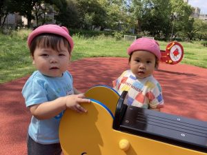 🎵９月２５日(金)今日の１枚🎵