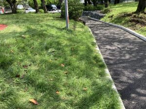 公園で楽しくからだづくり！