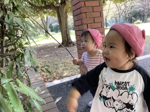 🎵１０月２３日(金)今日の１枚🎵
