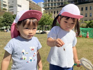トンボ