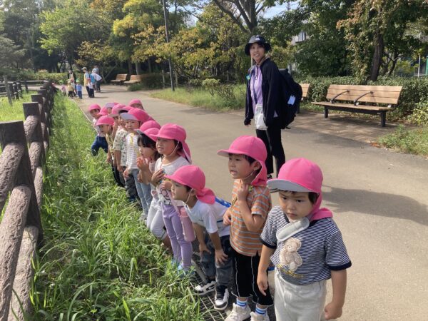 🎵１０月１６日(金)今日の１枚🎵