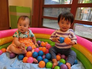 ボールプール 東京都23区の認可保育園 にじのいるか保育園