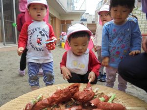 q遊び 東京都23区の認可保育園 にじのいるか保育園